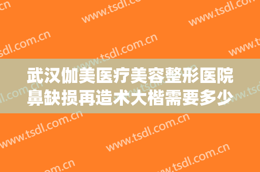 武汉伽美医疗美容整形医院鼻缺损再造术大楷需要多少费用?好不好?(武汉美成整形医院)