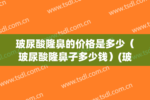 玻尿酸隆鼻的价格是多少（玻尿酸隆鼻子多少钱）(玻尿酸隆鼻多少钱一支)