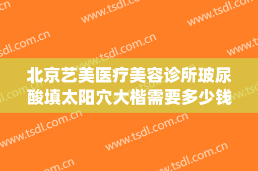 北京艺美医疗美容诊所玻尿酸填太阳穴大楷需要多少钱?贵不贵?(北京公立医院打玻尿酸多少钱)