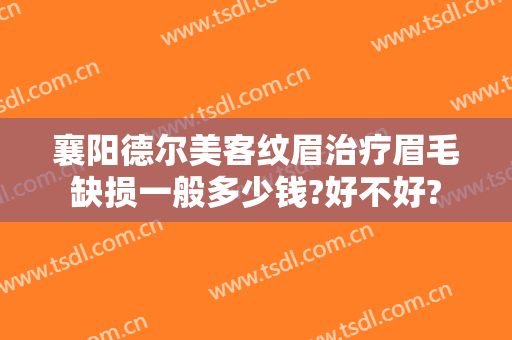 襄阳德尔美客纹眉治疗眉毛缺损一般多少钱?好不好?