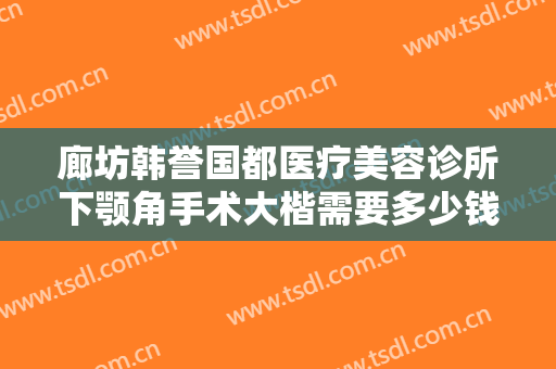 廊坊韩誉国都医疗美容诊所下颚角手术大楷需要多少钱?贵不贵?