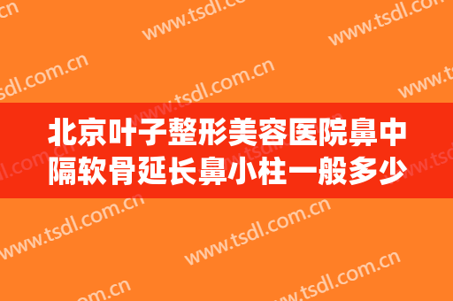 北京叶子整形美容医院鼻中隔软骨延长鼻小柱一般多少钱?可靠吗?(鼻小柱整形费用)