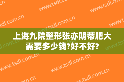 上海九院整形张亦阴蒂肥大需要多少钱?好不好?