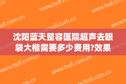 沈阳蓝天整容医院超声去眼袋大楷需要多少费用?效果怎么样?(沈阳做眼袋哪个医生好)
