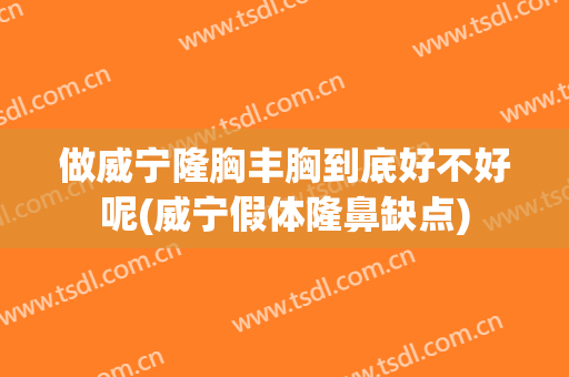 做威宁隆胸丰胸到底好不好呢(威宁假体隆鼻缺点)