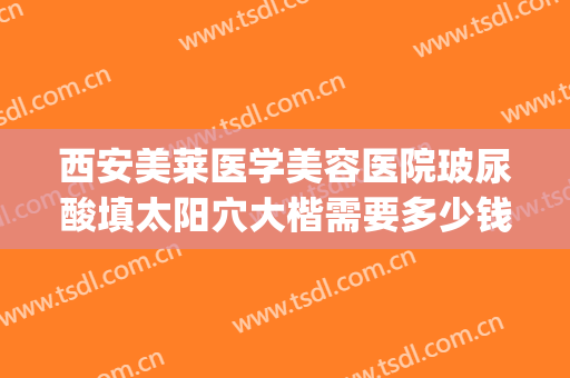 西安美莱医学美容医院玻尿酸填太阳穴大楷需要多少钱?有哪些优势?(美容院玻尿酸填充)