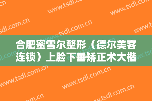 合肥蜜雪尔整形（德尔美客连锁）上脸下垂矫正术大楷需要多少费用?怎么样?