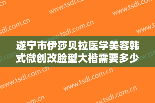 遂宁市伊莎贝拉医学美容韩式微创改脸型大楷需要多少费用?好不好?