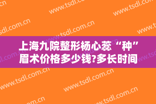 上海九院整形杨心蕊“种”眉术价格多少钱?多长时间恢复?