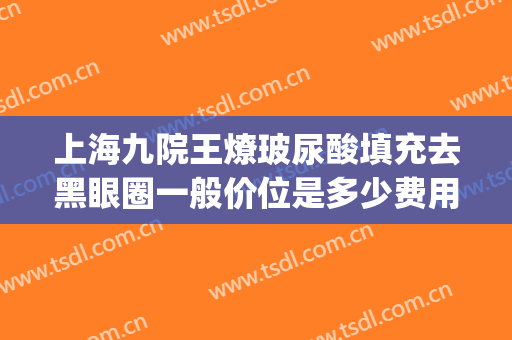 上海九院王燎玻尿酸填充去黑眼圈一般价位是多少费用?好不好?(上海九院玻尿酸填充价格)