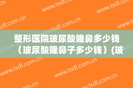 整形医院玻尿酸隆鼻多少钱（玻尿酸隆鼻子多少钱）(玻尿酸隆鼻子大概多少钱)