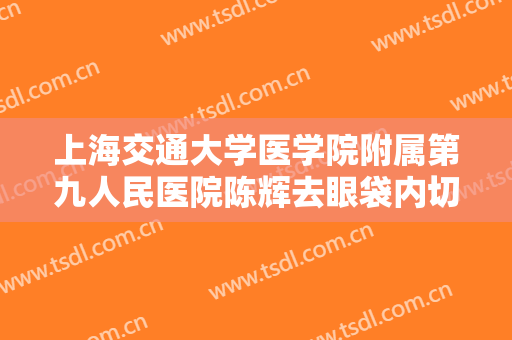 上海交通大学医学院附属第九人民医院陈辉去眼袋内切一般价位是多少钱?靠谱吗?