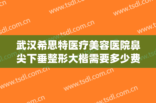 武汉希思特医疗美容医院鼻尖下垂整形大楷需要多少费用?靠谱吗?(武汉希思医疗美容整形医院怎么样)