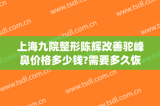 上海九院整形陈辉改善驼峰鼻价格多少钱?需要多久恢复?(驼峰鼻修复术多少钱)