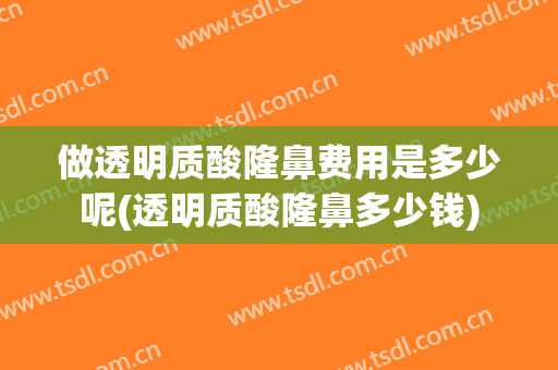 做透明质酸隆鼻费用是多少呢(透明质酸隆鼻多少钱)