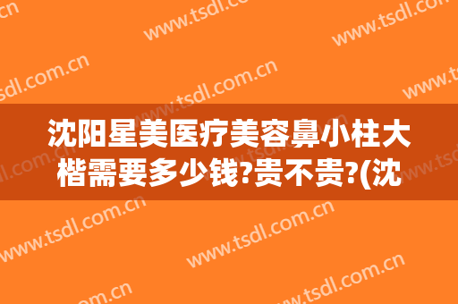 沈阳星美医疗美容鼻小柱大楷需要多少钱?贵不贵?(沈阳星禾医疗整形)