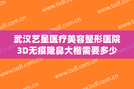 武汉艺星医疗美容整形医院3D无痕隆鼻大楷需要多少钱?怎么样?(深圳艺星医疗整形医院)