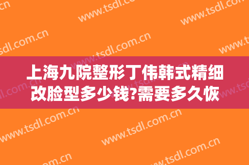 上海九院整形丁伟韩式精细改脸型多少钱?需要多久恢复?(上海九院整形价目表2024瘦脸针)