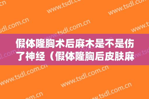 假体隆胸术后麻木是不是伤了神经（假体隆胸后皮肤麻木）(隆胸手术后皮肤麻木)