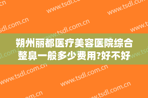 朔州丽都医疗美容医院综合整鼻一般多少费用?好不好?(彩虹岛黄金守护星座4需要什么石头)