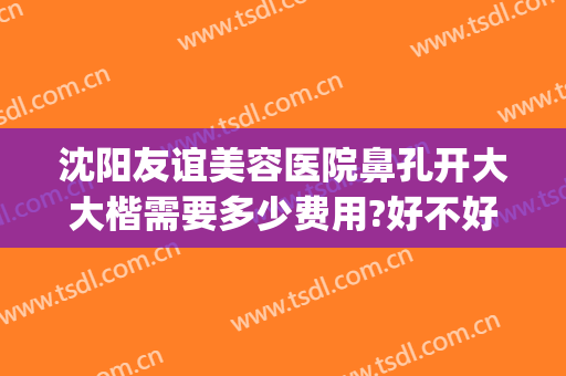 沈阳友谊美容医院鼻孔开大大楷需要多少费用?好不好?(沈阳做鼻子哪家整容医院好吗)