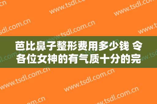 芭比鼻子整形费用多少钱 令各位女神的有气质十分的完美