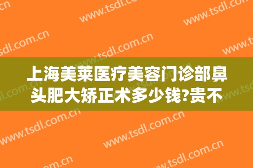 上海美莱医疗美容门诊部鼻头肥大矫正术多少钱?贵不贵?(上海美莱医疗美容医院整形)
