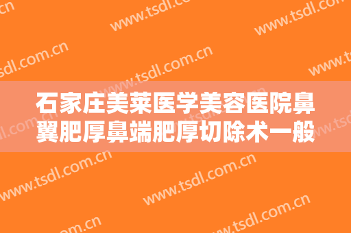 石家庄美莱医学美容医院鼻翼肥厚鼻端肥厚切除术一般价位是多少钱?怎么样?