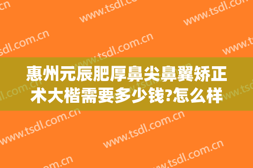 惠州元辰肥厚鼻尖鼻翼矫正术大楷需要多少钱?怎么样?(鼻翼小整形要多少钱)