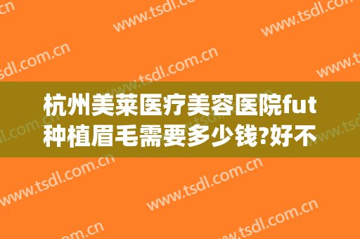 杭州美莱医疗美容医院fut种植眉毛需要多少钱?好不好?(杭州整形医院 纹眉)