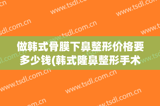 做韩式骨膜下鼻整形价格要多少钱(韩式隆鼻整形手术要多少钱)