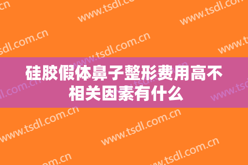 硅胶假体鼻子整形费用高不 相关因素有什么