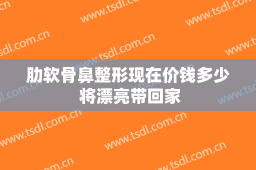 肋软骨鼻整形现在价钱多少 将漂亮带回家