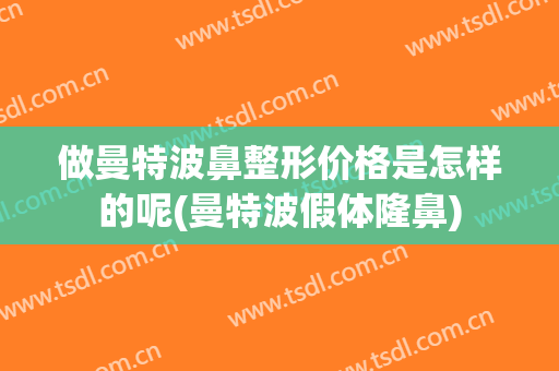 做曼特波鼻整形价格是怎样的呢(曼特波假体隆鼻)