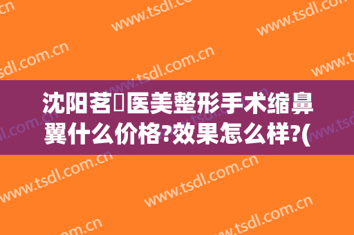 沈阳茗湲医美整形手术缩鼻翼什么价格?效果怎么样?(沈阳茗湲瑞亚整形医院)