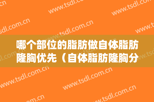 哪个部位的脂肪做自体脂肪隆胸优先（自体脂肪隆胸分为几种）(自体脂肪隆胸是用哪个部位的脂肪)