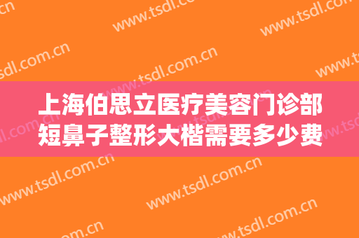 上海伯思立医疗美容门诊部短鼻子整形大楷需要多少费用?可靠吗?(上海伯思立顾清做鼻子怎么样)