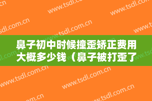 鼻子初中时候撞歪矫正费用大概多少钱（鼻子被打歪了如何矫正需要多少钱）