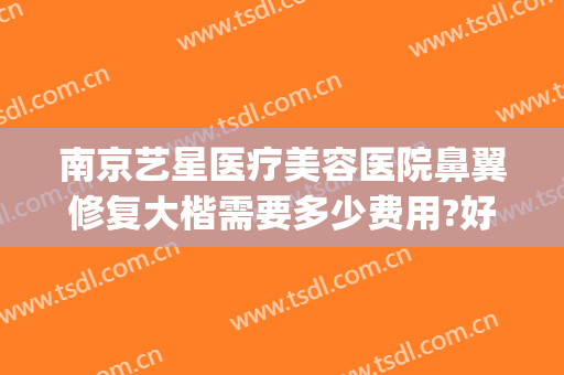 南京艺星医疗美容医院鼻翼修复大楷需要多少费用?好不好?(上海艺星医疗美容医院整形口碑好吗)