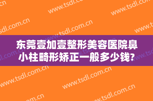 东莞壹加壹整形美容医院鼻小柱畸形矫正一般多少钱?好不好?