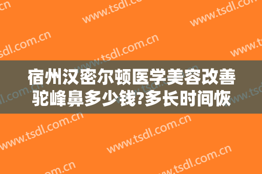 宿州汉密尔顿医学美容改善驼峰鼻多少钱?多长时间恢复?