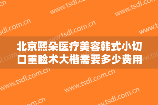 北京熙朵医疗美容韩式小切口重睑术大楷需要多少费用?靠谱吗?