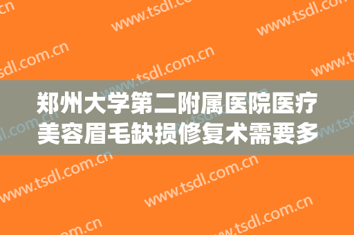 郑州大学第二附属医院医疗美容眉毛缺损修复术需要多少钱?好不好?(郑州整形修复第一家医院?)