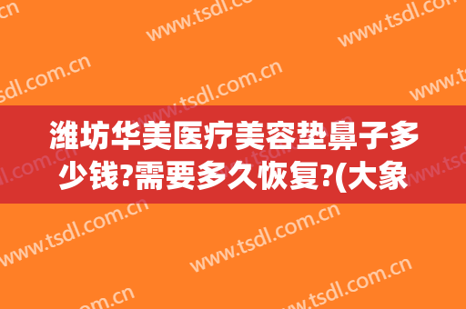 潍坊华美医疗美容垫鼻子多少钱?需要多久恢复?(大象的出生方式)