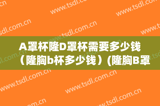 A罩杯隆D罩杯需要多少钱（隆胸b杯多少钱）(隆胸B罩杯)