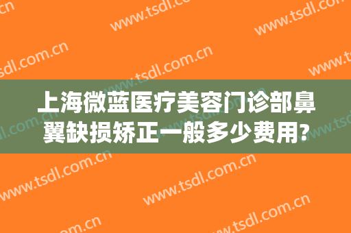 上海微蓝医疗美容门诊部鼻翼缺损矫正一般多少费用?怎么样?(上海微蓝医疗美容医院地址)