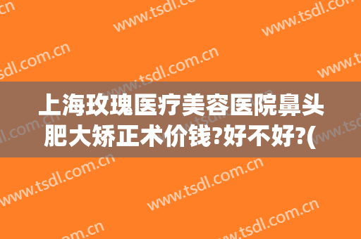 上海玫瑰医疗美容医院鼻头肥大矫正术价钱?好不好?(上海市玫瑰医疗美容医院医生)