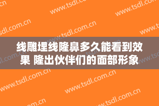 线雕埋线隆鼻多久能看到效果 隆出伙伴们的面部形象