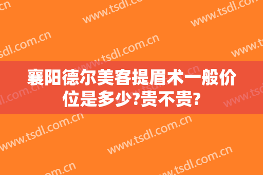 襄阳德尔美客提眉术一般价位是多少?贵不贵?