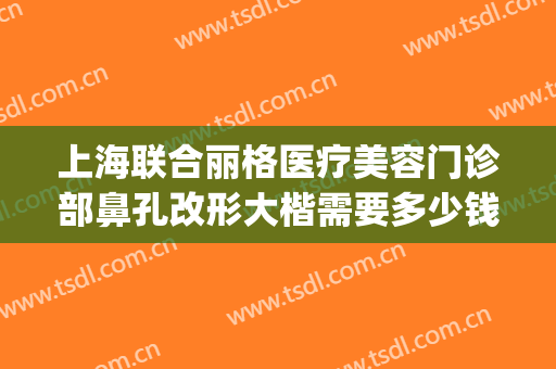 上海联合丽格医疗美容门诊部鼻孔改形大楷需要多少钱?效果怎么样?(上海联合丽格整形)